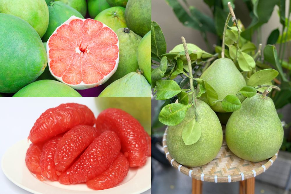 Đặc điểm Bưởi Ruby