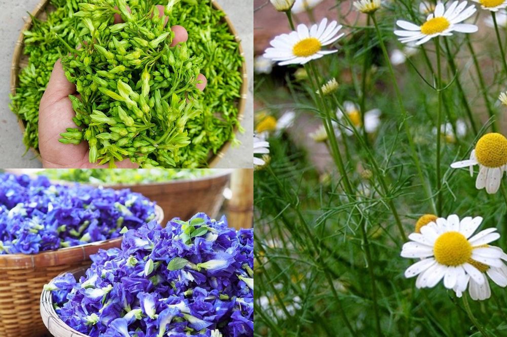 Các Loại Hoa Kinh Doanh Online