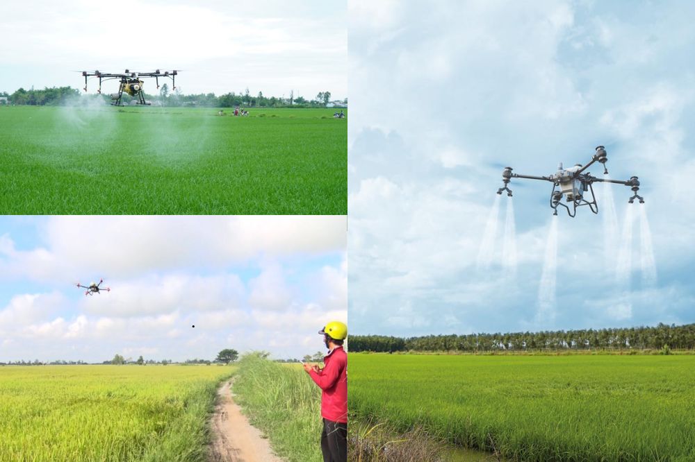 Hệ Sinh Thái Dịch Vụ Drone