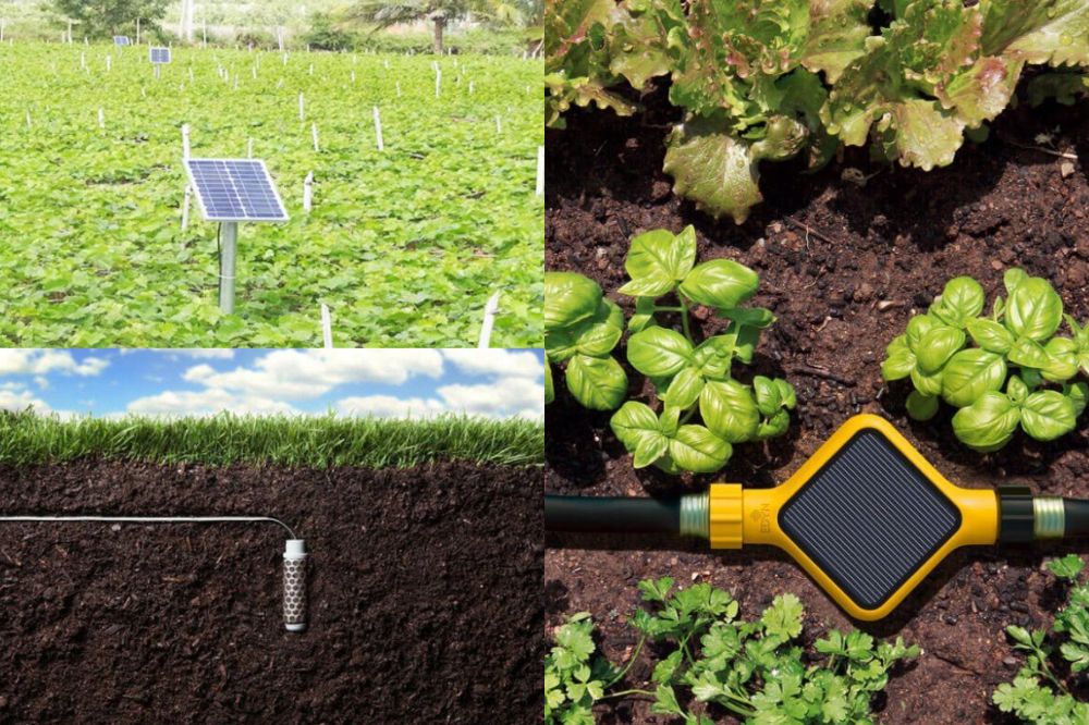 Lắp Đặt Cảm Biến Độ Ẩm Đất