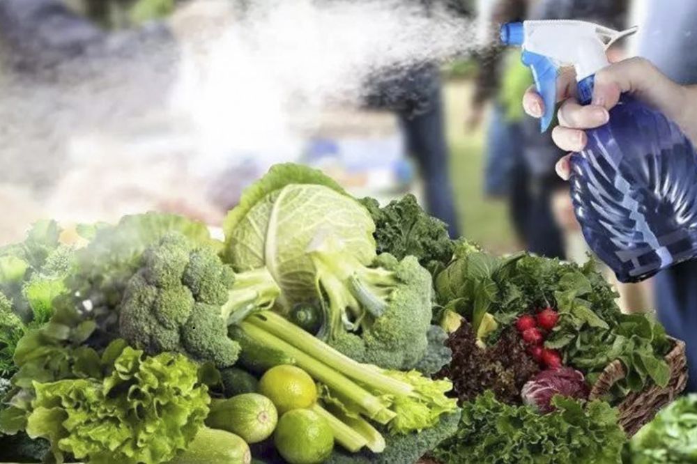 Những Sai Lầm Tai Hại