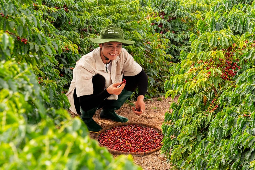 Quy Trình Canh Tác Và Chứng Chỉ