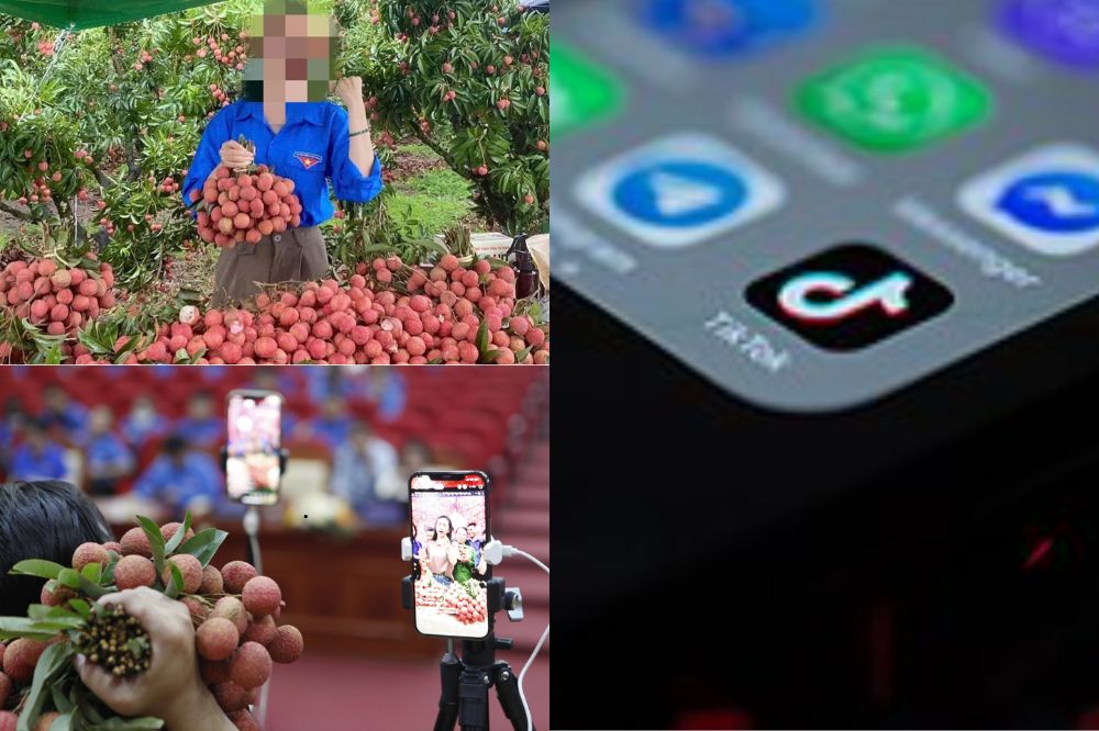 Xây Dựng Bối Cảnh Và Visual Trên TikTok