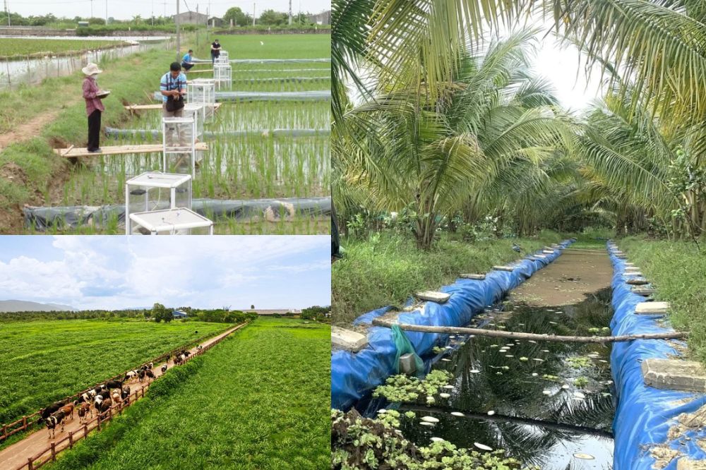 Các Mô Hình 0 Đồng Phế Thải