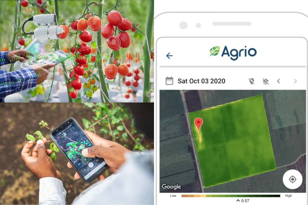Các Ứng Dụng AI Bắt Bệnh