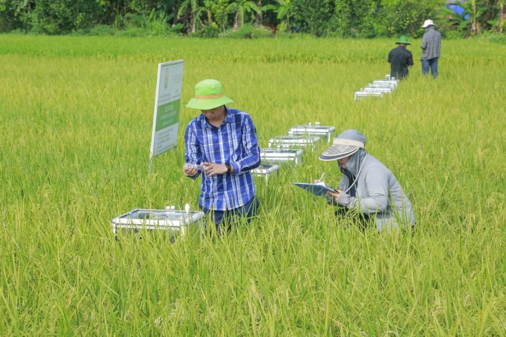 Những Nút Thắt Cần Tháo Gỡ