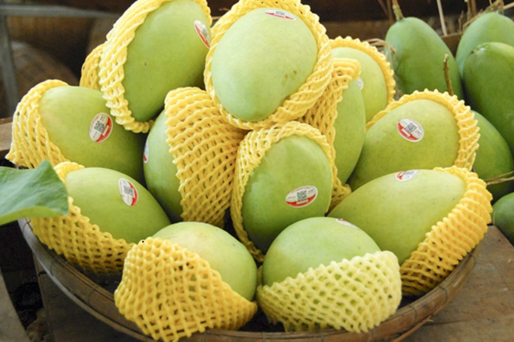 Rào Cản Và Giải Pháp