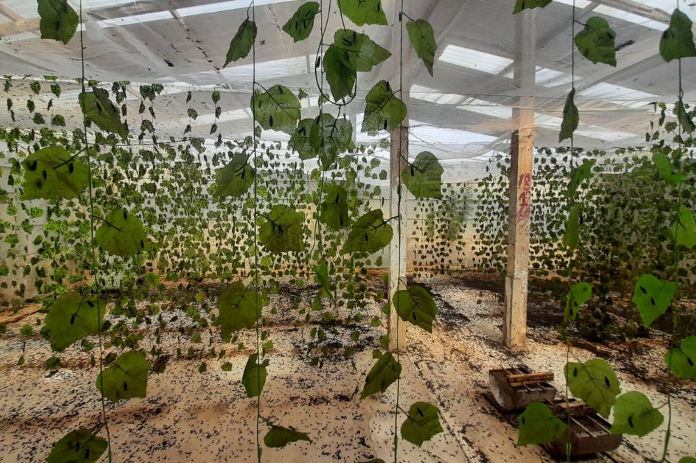 Thách Thức Và Giải Pháp