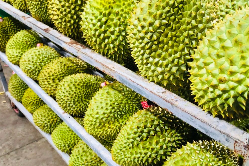 Những Lưu Ý Khi Ăn Sầu