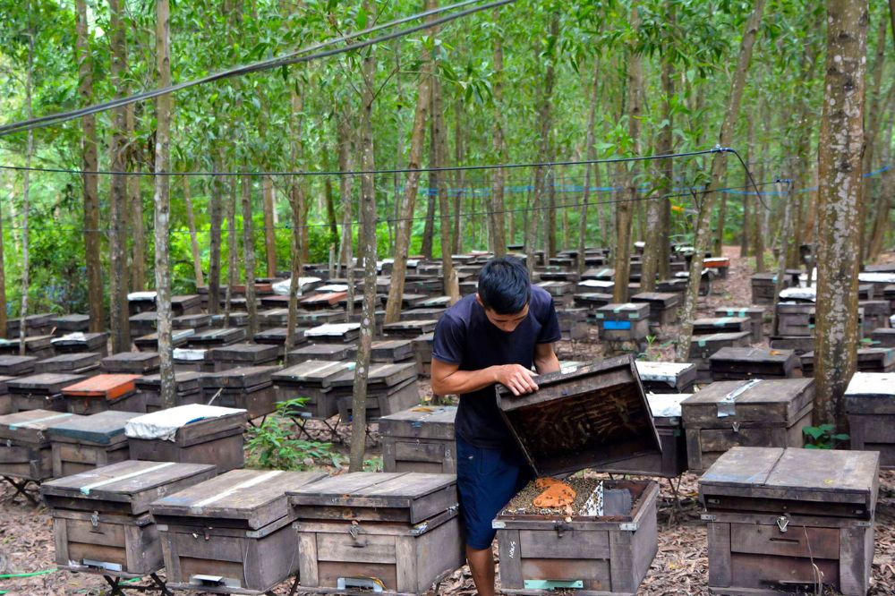 Chiến Lược Và Thương Mại Hóa