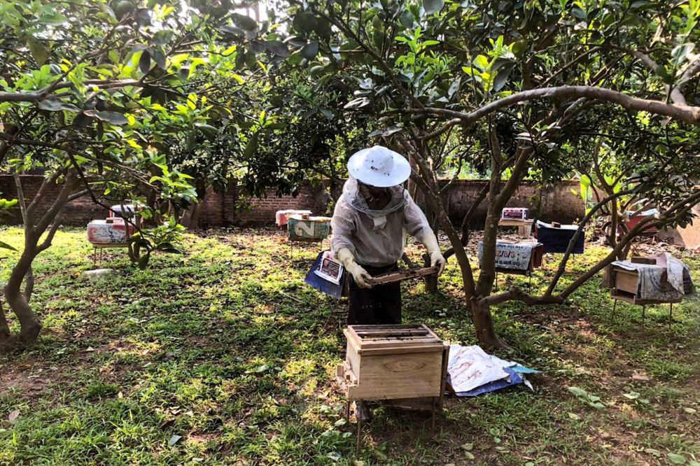 Hiệu Quả Kinh Tế Và Xu Hướng Nông Nghiệp