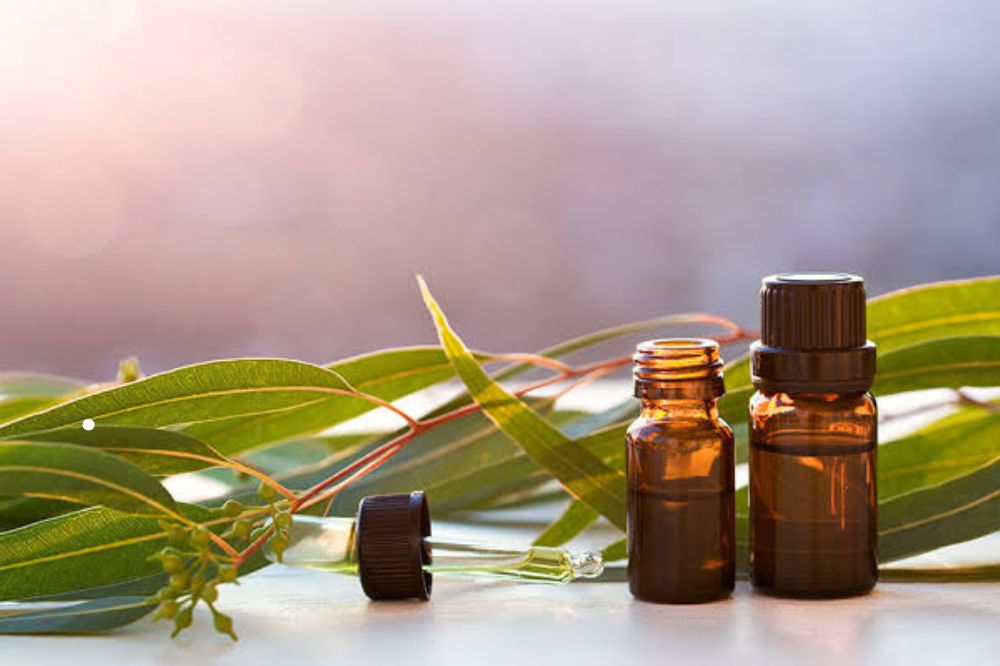 Hướng Dẫn Sử Dụng An Toàn