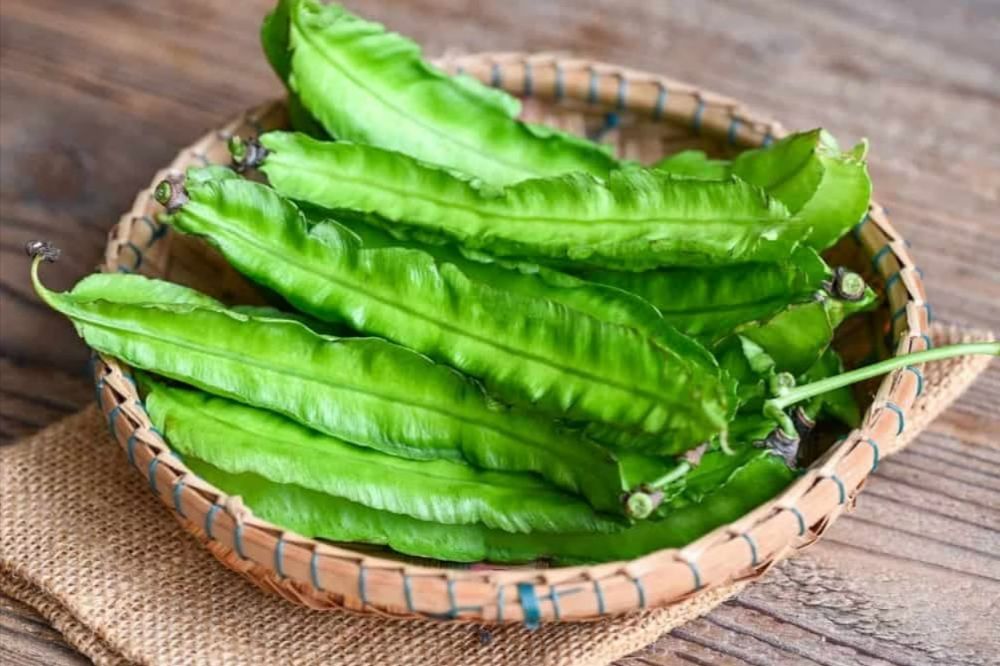 Cây đậu rồng