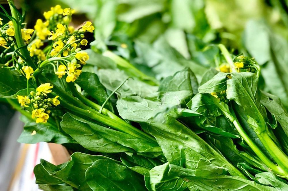 Rau Cải Ngồng