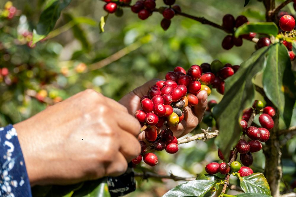 Những Quy Định Tại Thị Trường Châu Âu