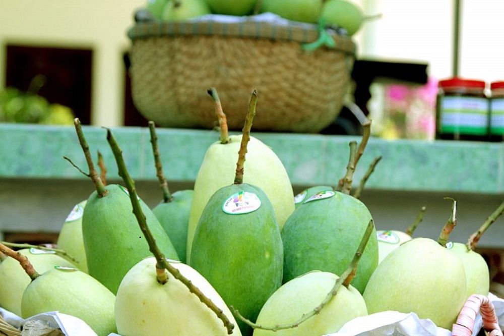 Blockchain Và Xoài Việt